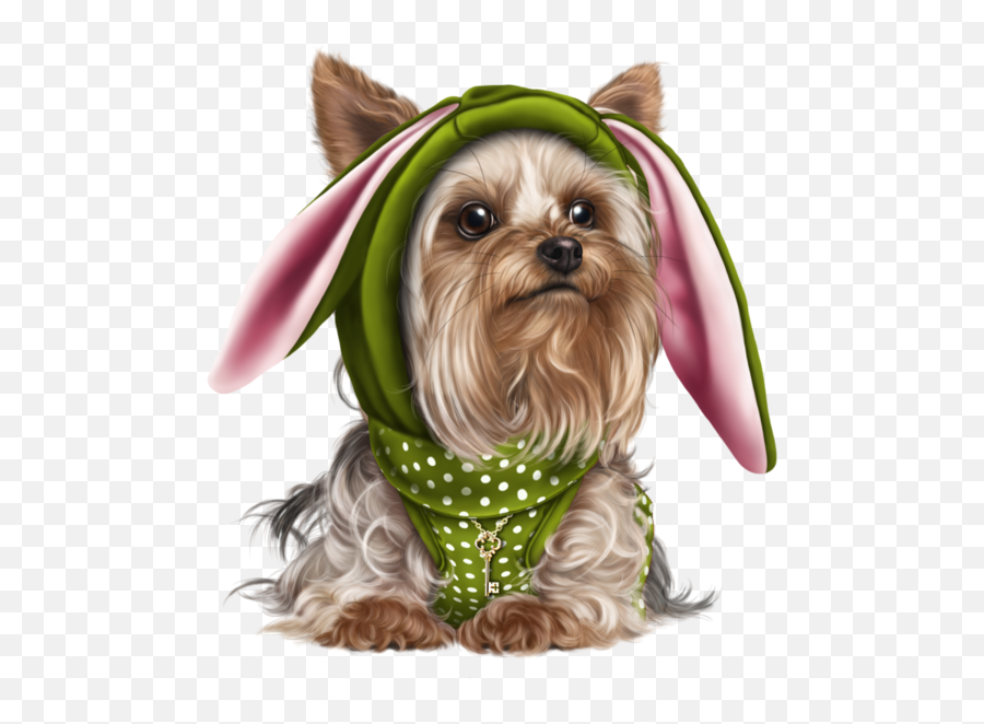 Chiensdogpuppieswallpapers Cute Cats And Dogs Yorkie Emoji,Yorkie Clipart