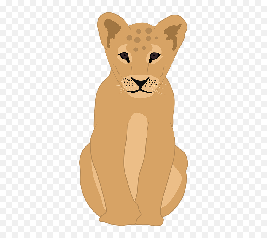 Free Photo Cat Safari Cub Animal Lion Cute Wildlife Africa Emoji,Cub Clipart