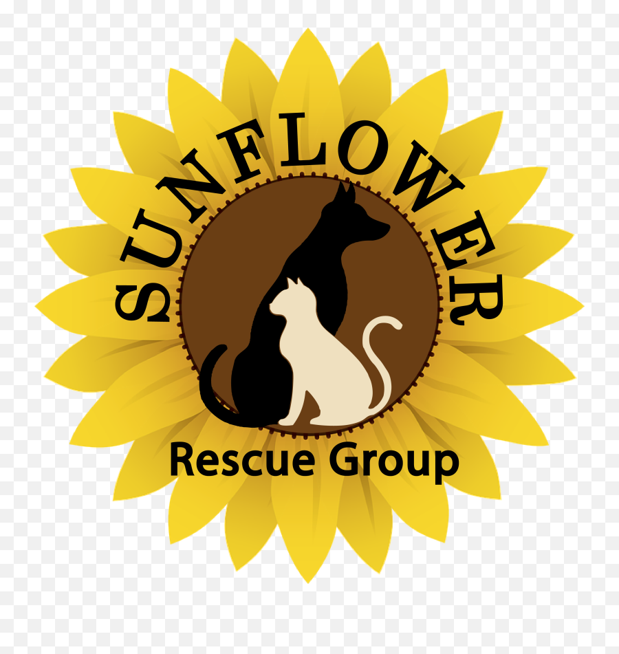 Home Sunflower Rescue Group - Poster Emoji,Sunflower Logo