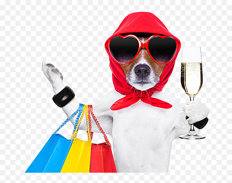 Download Shop Shopping Pet Photography Dog Bag Stock Clipart - Dog Shopping Png Emoji,Shopping Bags Clipart