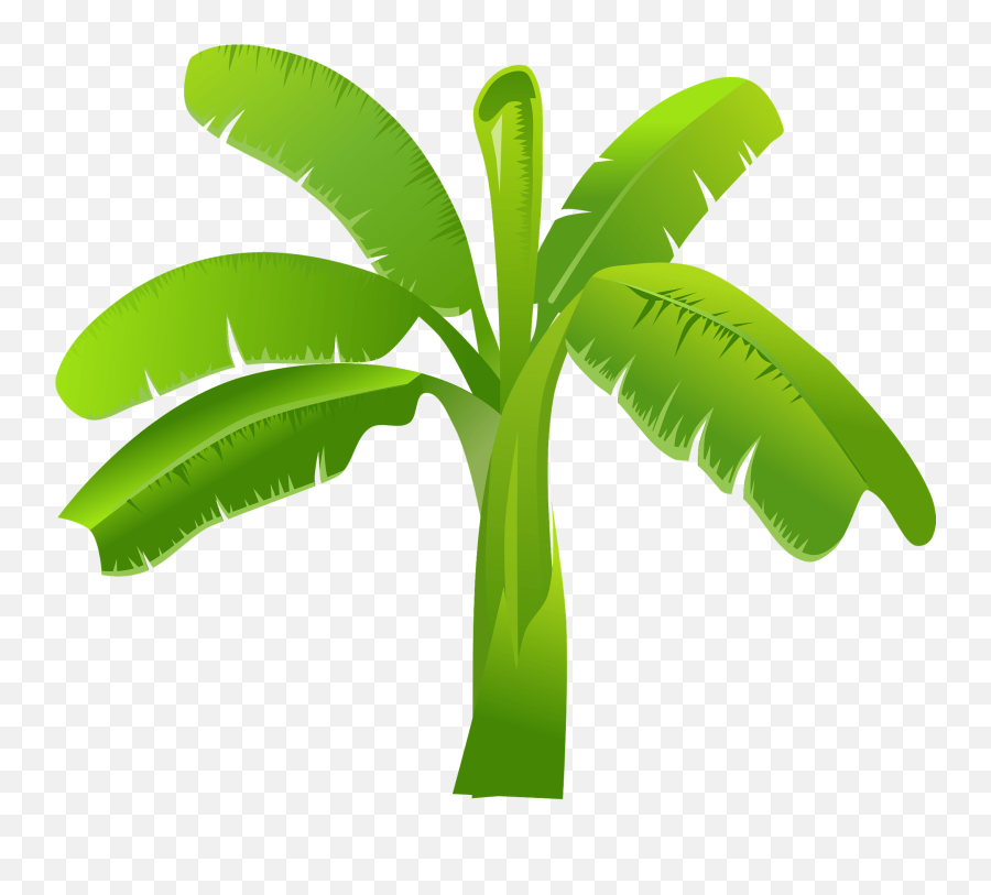 Palm Tree Clipart Free Download Transparent Png Creazilla - Food Emoji,Palm Tree Clipart