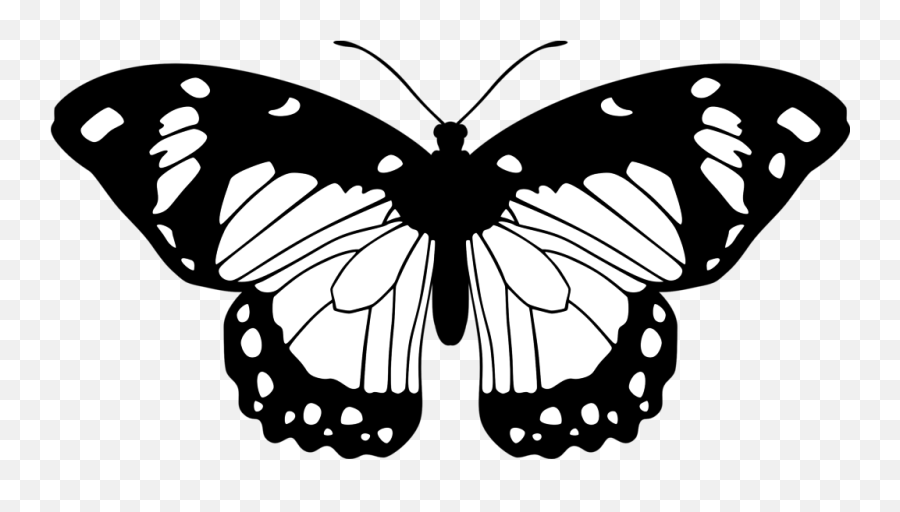 Line Clipart Png - Great Free Butterfly Images Black And Transparent Black And White Butterfly Clipart Emoji,Line Clipart