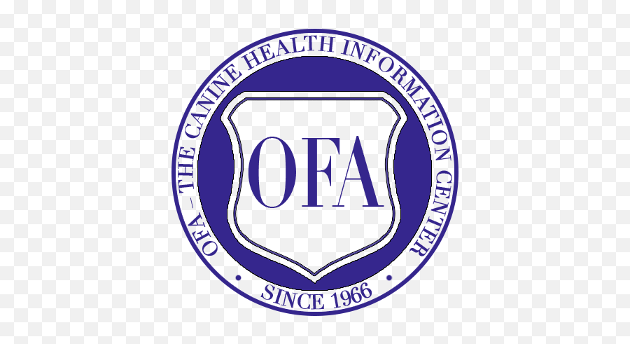Cerf Exam - Veterinary Ophthalmic Consulting Facta Financeira Emoji,Logo Mation