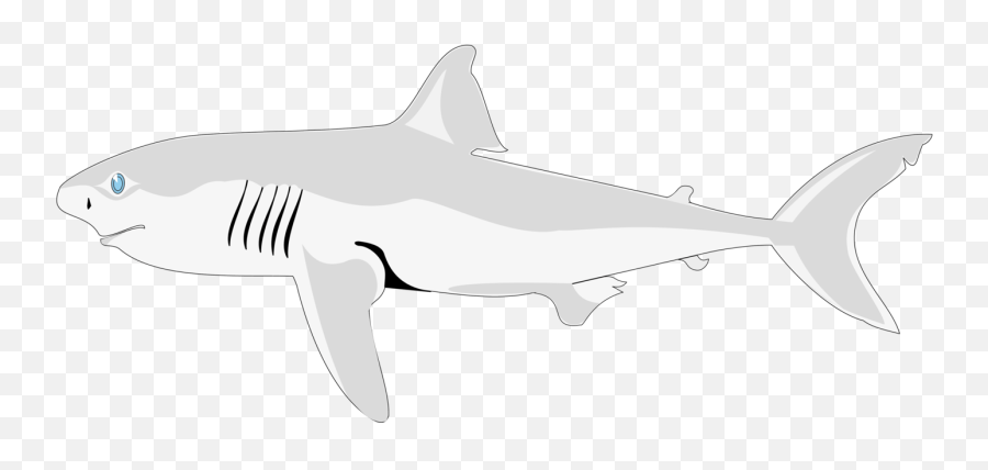Download Shark Fish Clipart Four Emoji,Sharks Clipart