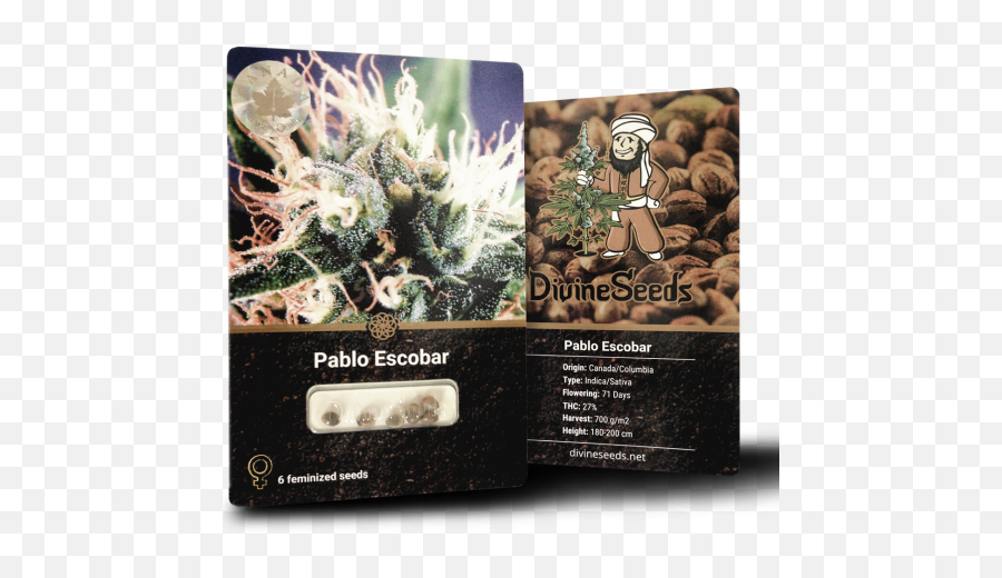 Seeds Of Pablo Escobar - Buy Marijuana Seeds With Fruit Flavor Emoji,Pablo Escobar Png