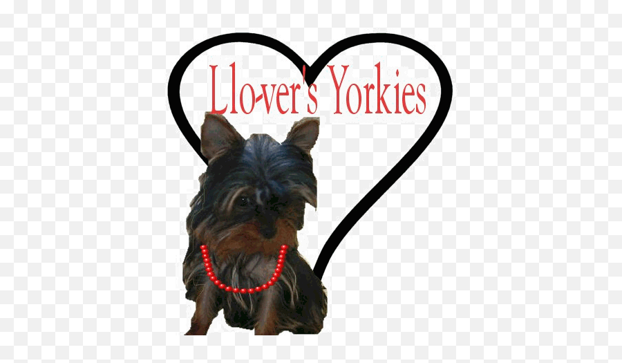 Yorkie Playing Clipart Black And White 1 Clipart Station Emoji,Yorkie Clipart
