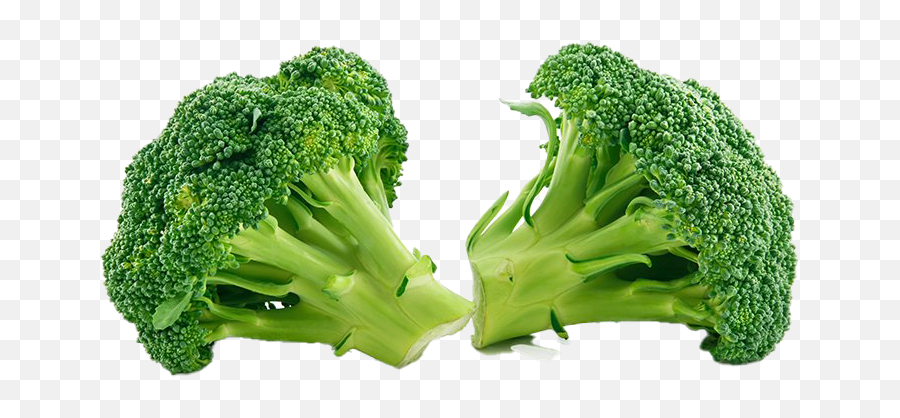 Green Broccoli Png Clipart - Green Broccoli Emoji,Broccoli Clipart