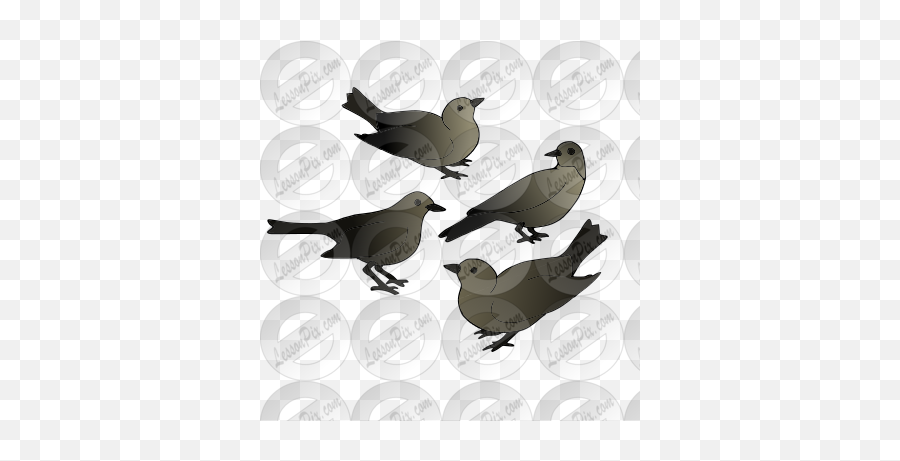 Calling Birds Picture For Classroom Therapy Use - Great Old World Flycatchers Emoji,Birds Clipart