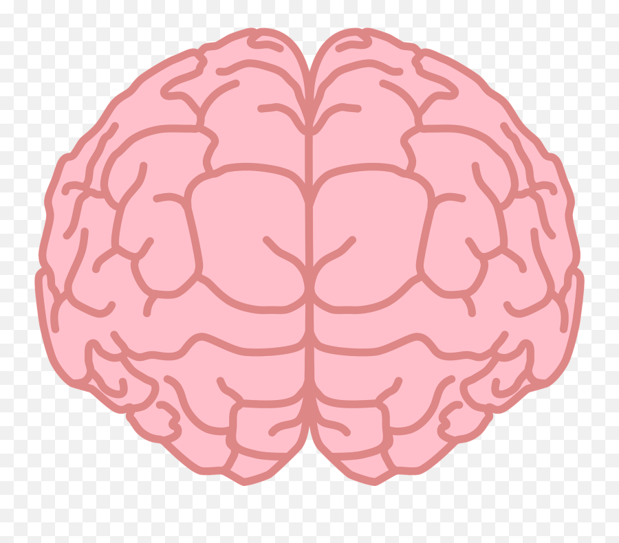 Brain Clipart Free Download Transparent Png Creazilla - Brain Clip Art Front Emoji,Brain Clipart Png