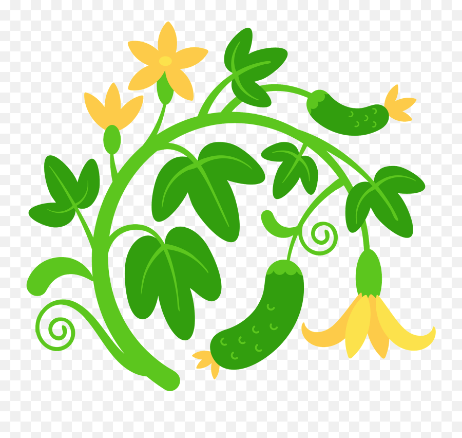 Cucumber Clipart Free Download Transparent Png Creazilla - Natural Foods Emoji,Cucumber Clipart