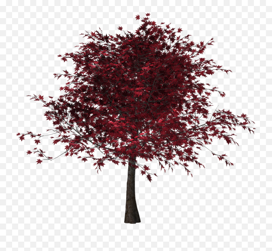 Tree Autumn Leaves Red Leaves Png Picpng - Lovely Emoji,Leaves Png
