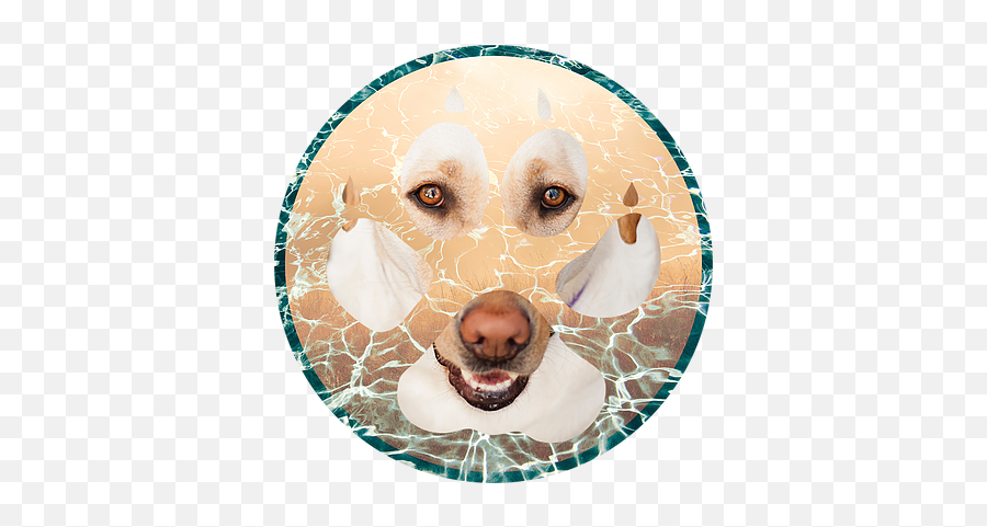 Shannonlynnesullivan Dog Training - Dog Emoji,Dogs Png