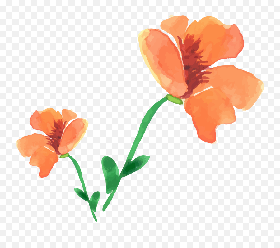 Painting Poppy Flower Painted Floral Decoration - Watercolor Transparent Orange Flower Watercolor Emoji,Poppy Flower Clipart