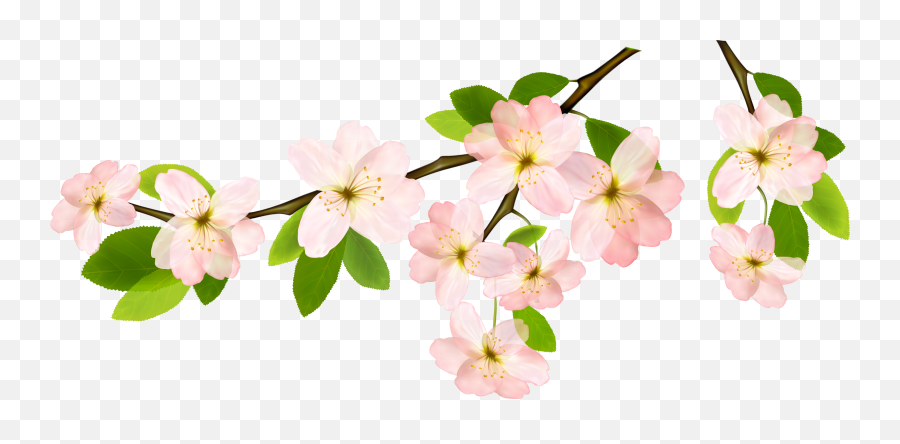 Free Spring Flowers Transparent Download Free Clip Art - Spring Png Emoji,Spring Flowers Clipart