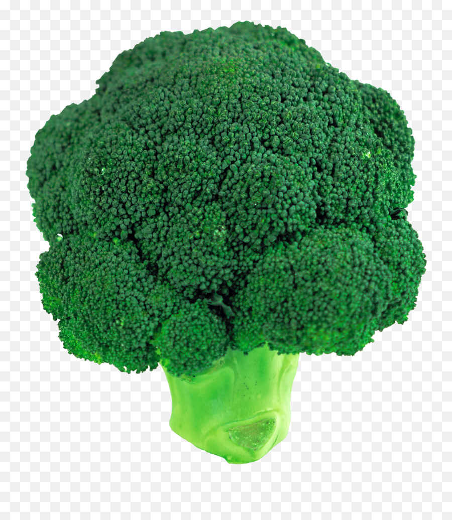 Broccoli Transparent Background Png - Brócoli Png Emoji,Broccoli Clipart