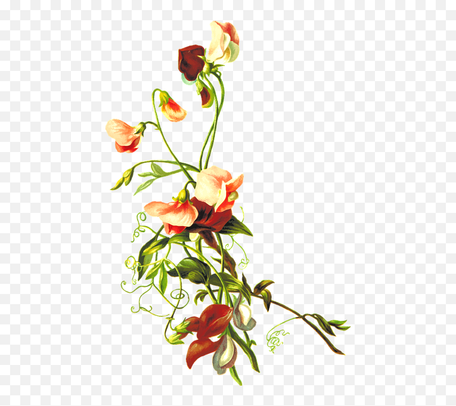 Floral Png 10 - Flower With Leaves Png 484x720 Png Leaf With Flower Png Emoji,Leaves Png