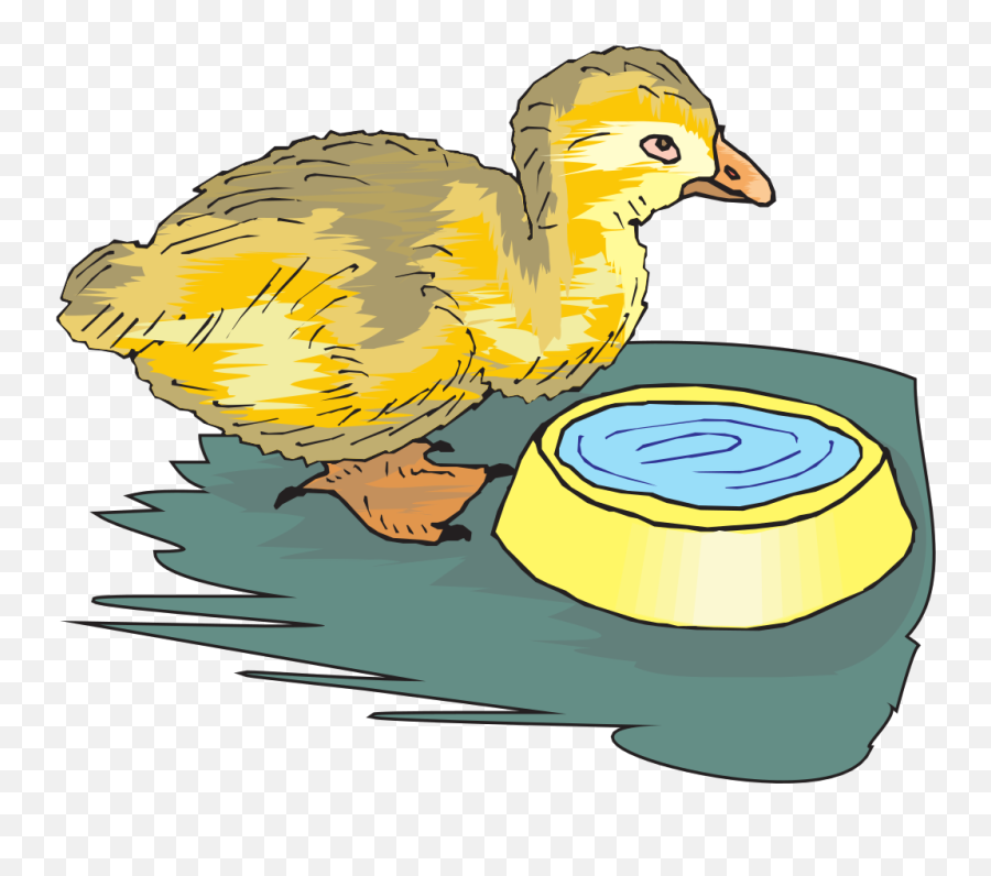 Duckling Baby Bird Yellow Small Little Ducks - Bird Drinking Water For Birds Clipart Emoji,Drinking Water Clipart