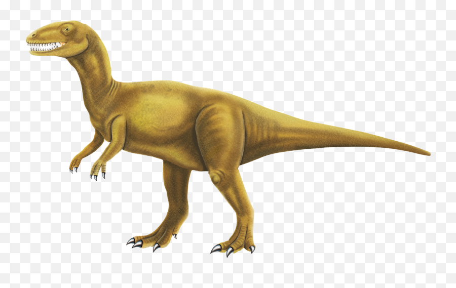 Free Realistic Dinosaur Cliparts Download Free Realistic - 3rd Grade Dinosaur Reading Comprehension Emoji,Free Dinosaur Clipart