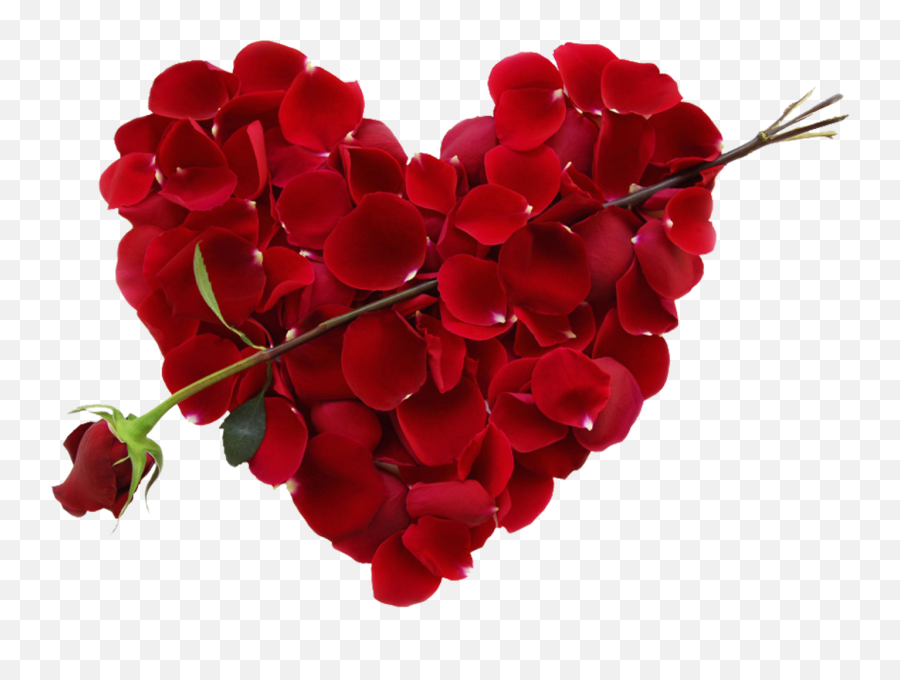 Rose Petal Heart Png Images - Day Emoji,Rose Petals Png