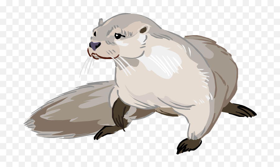 Drawing Cartoon Sea Otter - Otter Clipart Png Emoji,Otter Clipart