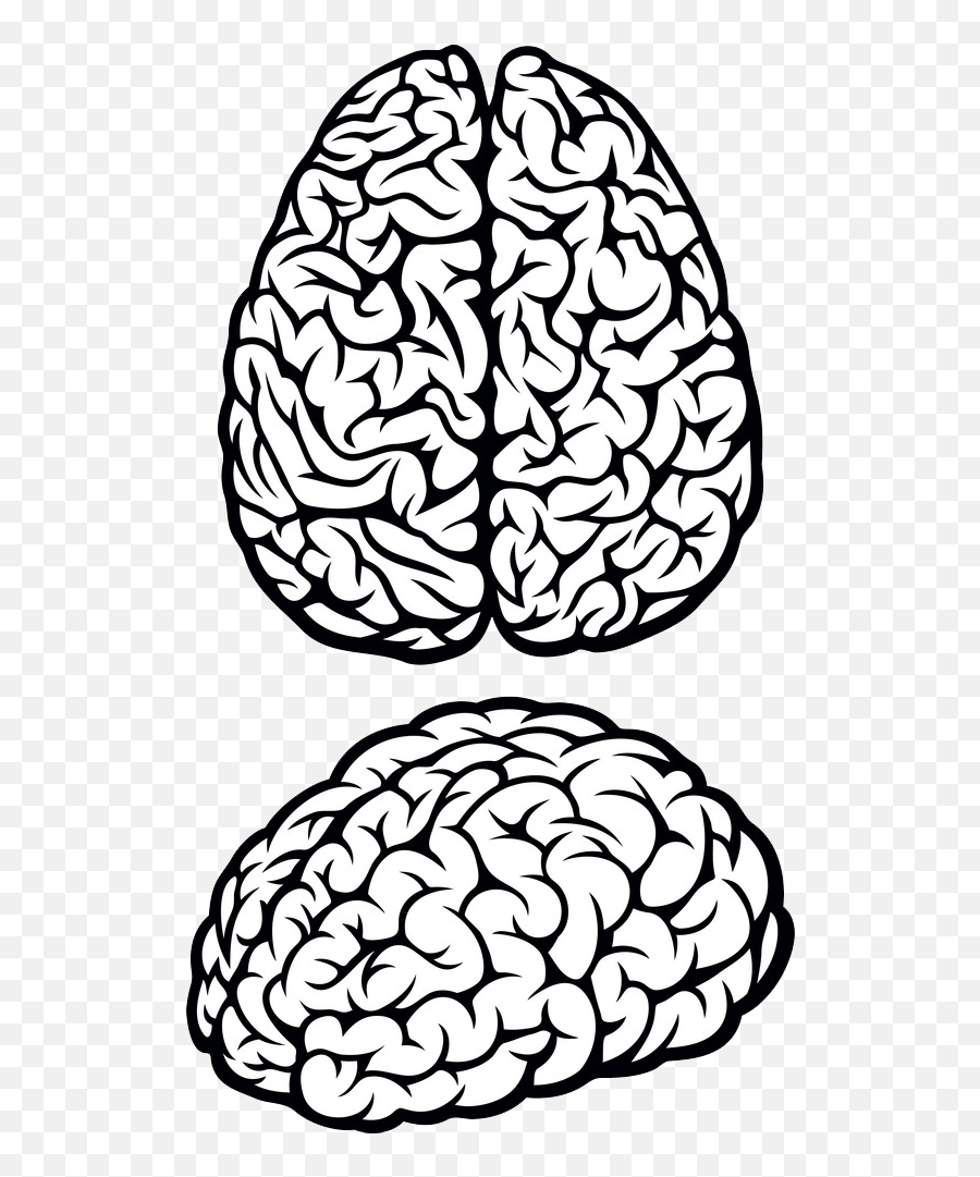 Black And White Brain Clipart Transparent - Clipart World Cerebro Emoji,Brain Clipart Png