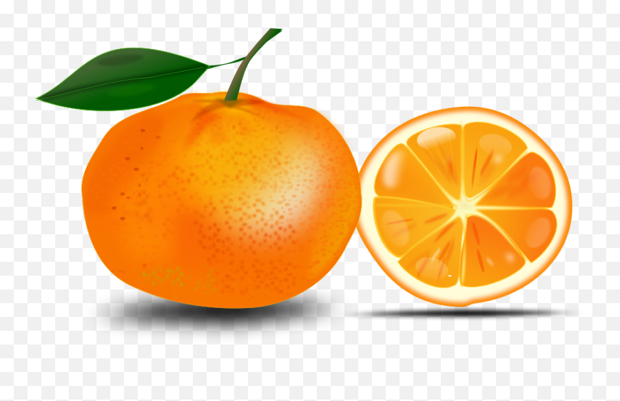 Free Free Orange Cliparts Download - Free Orange Clipart Emoji,Orange Clipart