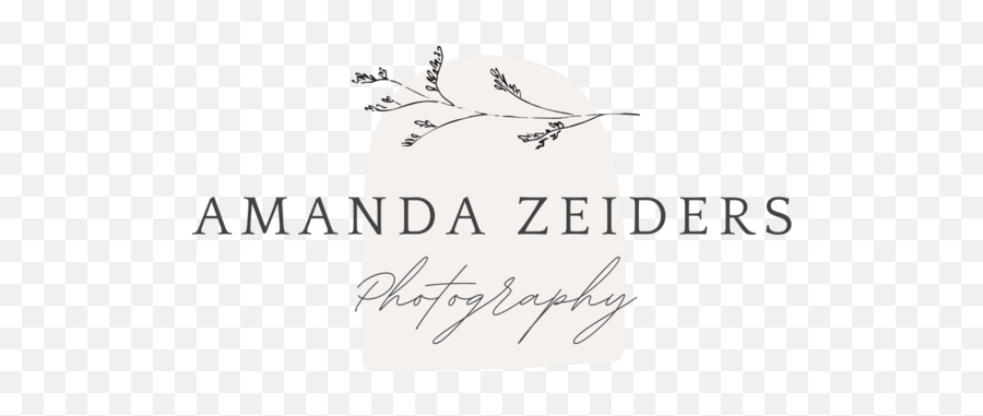 Amanda Zeiders Wedding Galleries - Chatham Kent Centre Emoji,Weddingwire Logo