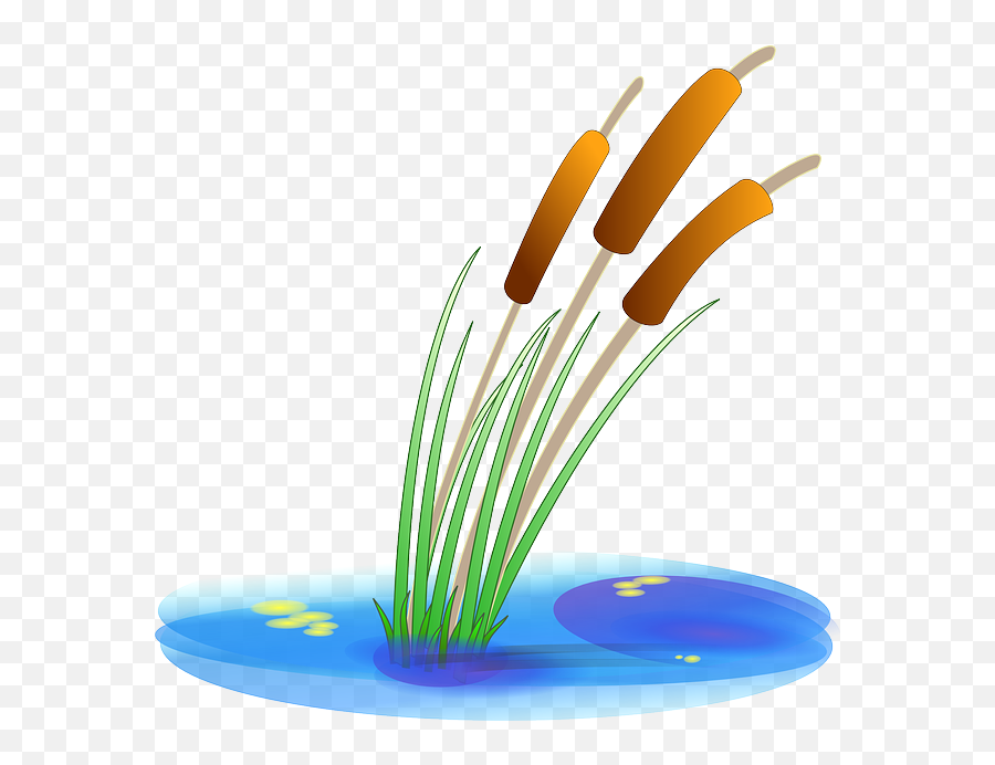 Cattail Clipart Transparent Png Image Emoji,Cat Tail Clipart