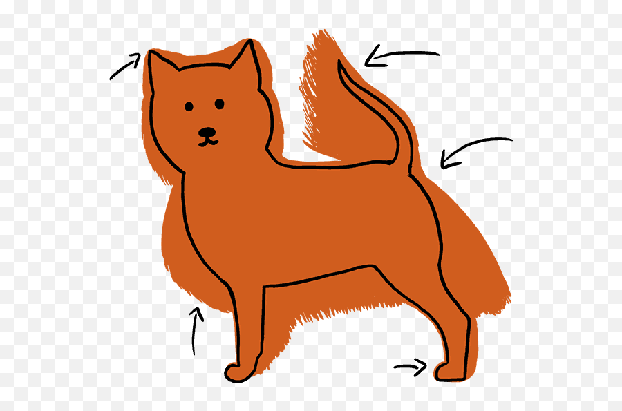 Pomeranian Haircut Styles - Pictures And Diagrams From Emoji,Pomeranian Png