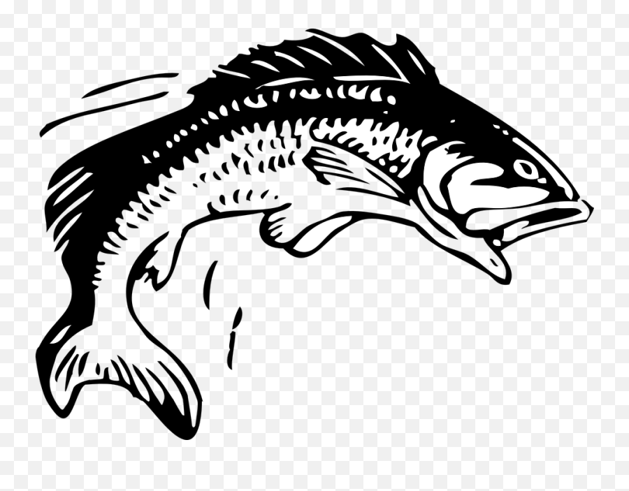 Fish Fishing Animal - Free Vector Graphic On Pixabay Fishing Clipart Black And White Emoji,Transparent Fish