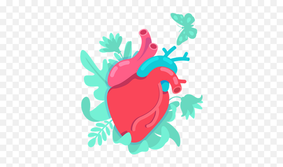 Best Premium Anatomical Heart Illustration Download In Png Emoji,Realistic Heart Clipart