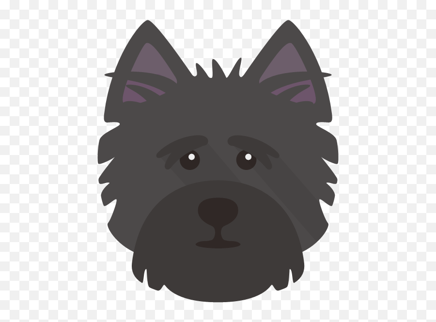 Yappicon - Yorkshire Terrier Happy Birthday Wishes Yorkshire Emoji,Yorkie Clipart