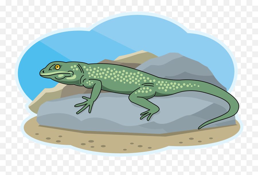 Lizard Clipart Free Download Transparent Png Creazilla - Agamid Lizards Emoji,Lizard Clipart