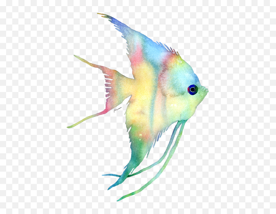 Bleed Area May Not Be Visible - Watercolor Fish Transparent Freshwater Angelfish Emoji,Fish Transparent Background