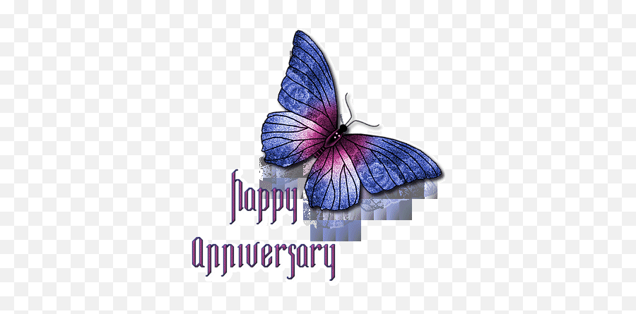 Happy Anniversary Animation - Clip Art Library Happy Anniversary Purple Butterflies Emoji,Happy Anniversary Clipart