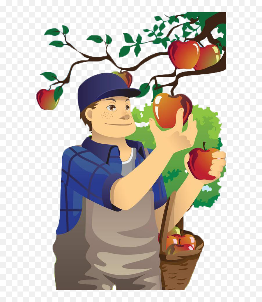 Download Apple Orchard Of Village Fruit Uncle Apples Hq Png - Apple Farmer Emoji,Apples Png