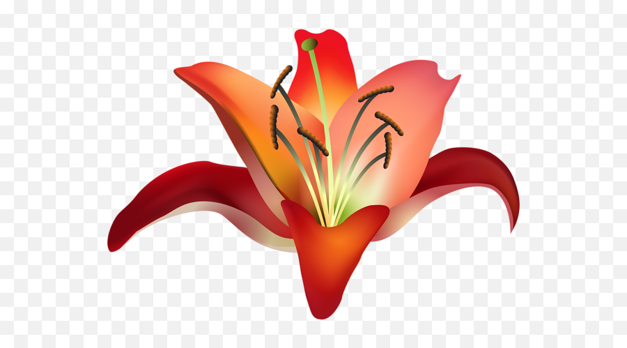 Download Red Flower Png Clip Art Image - Amaryllis Clipart Amaryllis Clip Art Emoji,Red Flower Png