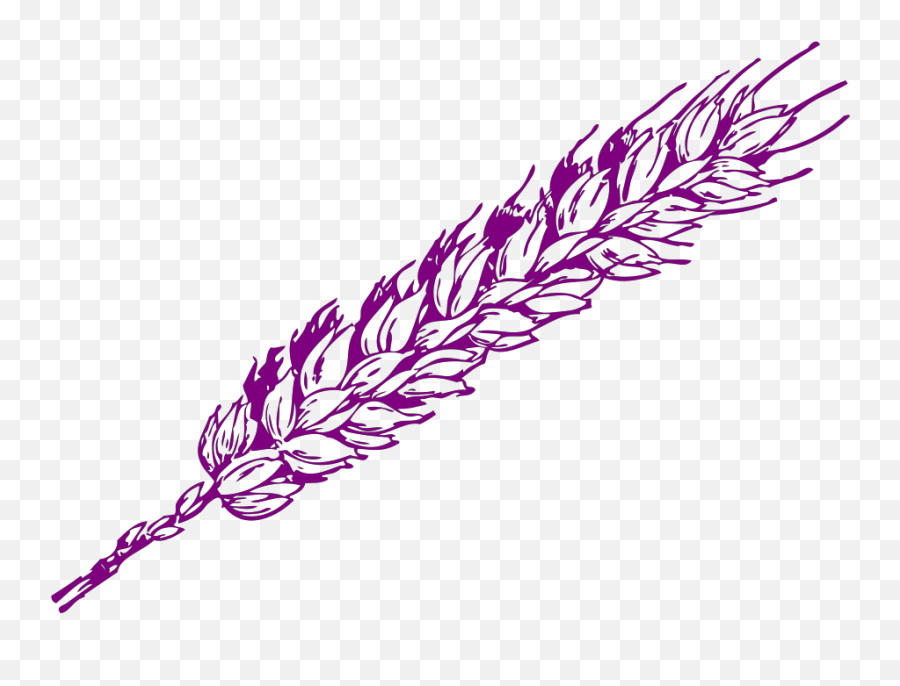 Purple Wheat Svg Vector Purple Wheat Clip Art - Svg Clipart Gandum Vector Emoji,Wheat Clipart