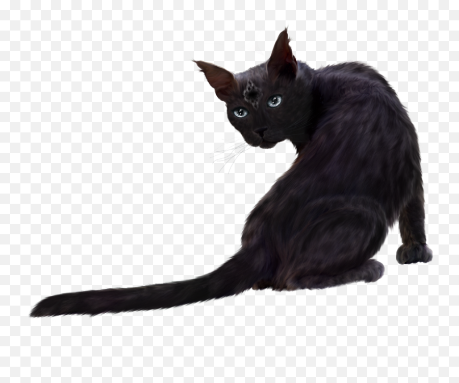 Fastest Black Cat Png Transparent Emoji,Cat Clipart Transparent Background
