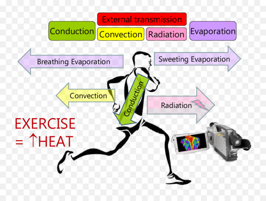 Human Body Mechanisms For Heat Exchange Interaction - Clinic Emoji,Interaction Logo