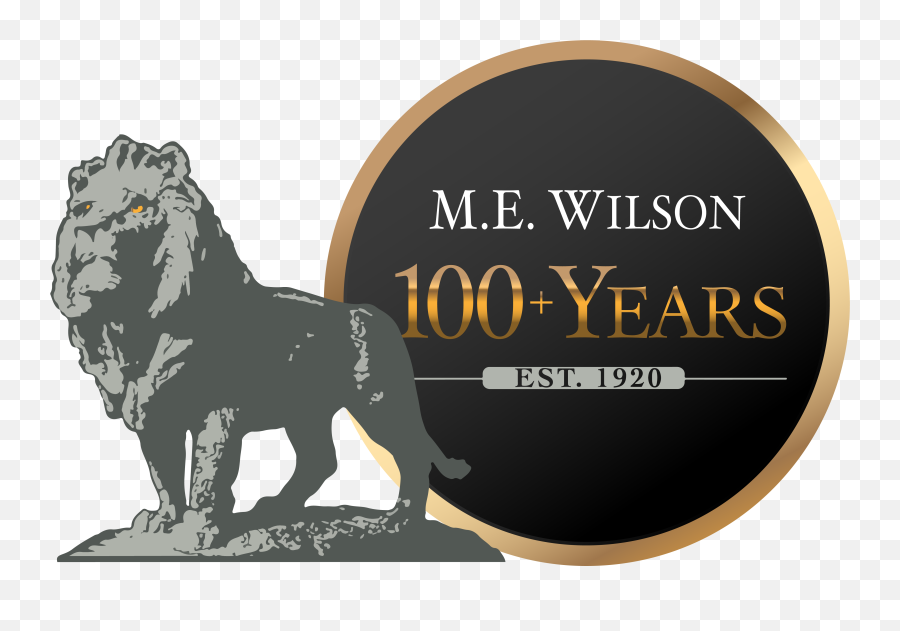 Home - Me Wilson Emoji,Lion Logo Company