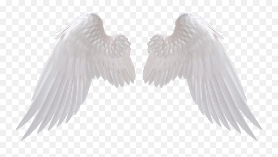 White Wings Png Clipart - Transparent Background Angel Wings Transparent Emoji,Wings Png