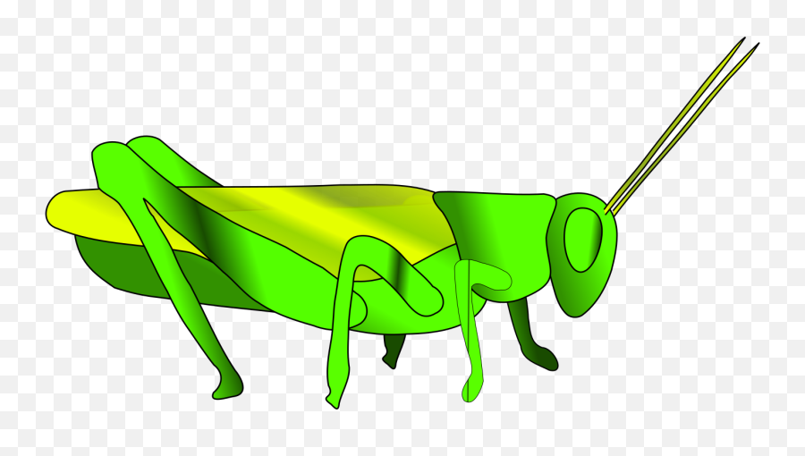 Cartoon Grasshopper Svg Vector Cartoon - Parasitism Emoji,Grasshopper Clipart