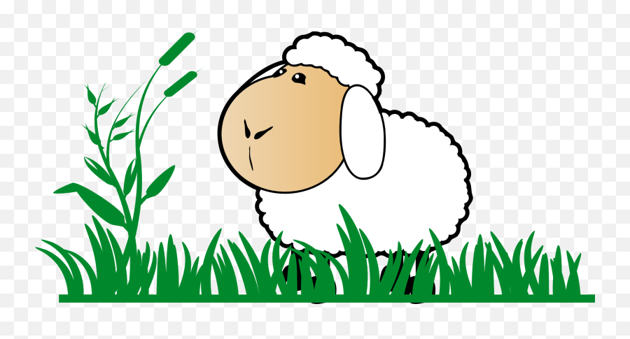 Tall Grass - Sheep On Grass Cartoon Png Download Original Sheep On Grass Cartoon Emoji,Tall Grass Png