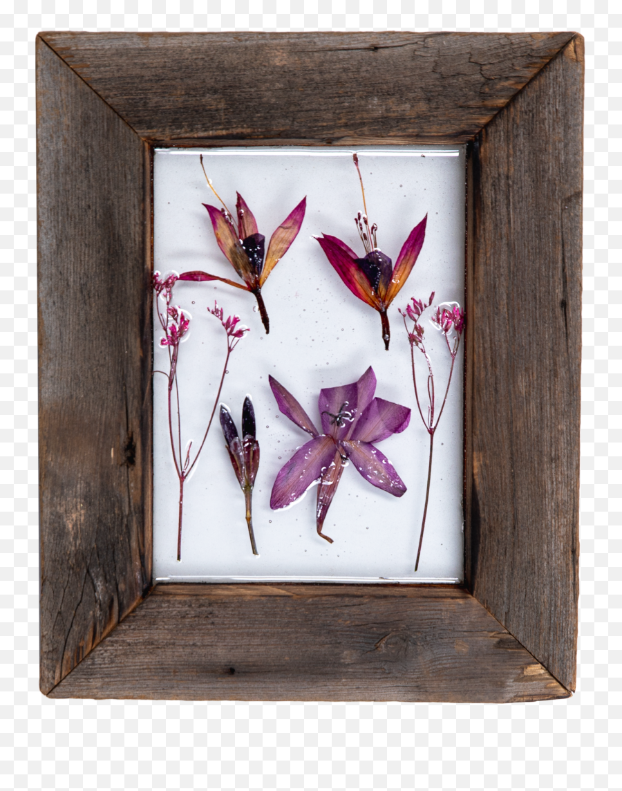 Wildflower Art No3 - Picture Frame Emoji,Wildflower Png