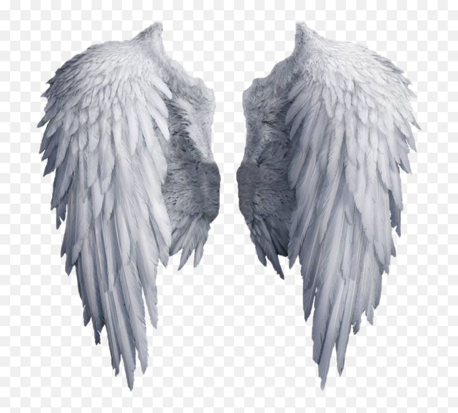 Realistic Angel Wings Png Image - Realistic Angel Wings Png Emoji,Wings Png