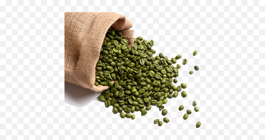 Download Hd Green Coffee Beans - Green Bean Coffee Png Green Coffee Beans Png Emoji,Coffee Beans Png