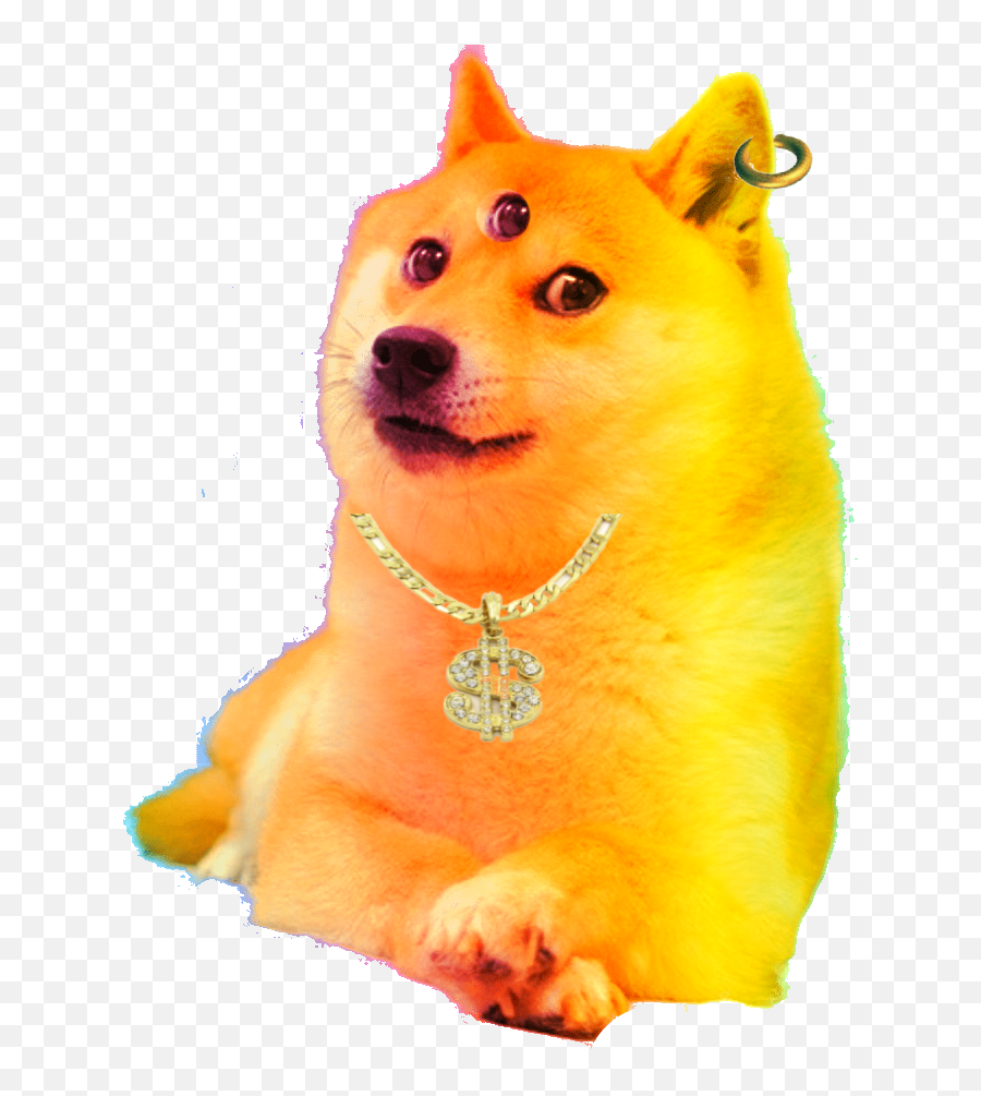 Oracle Doge Dogelore Wiki Fandom - Wow Doge Emoji,Doge Png