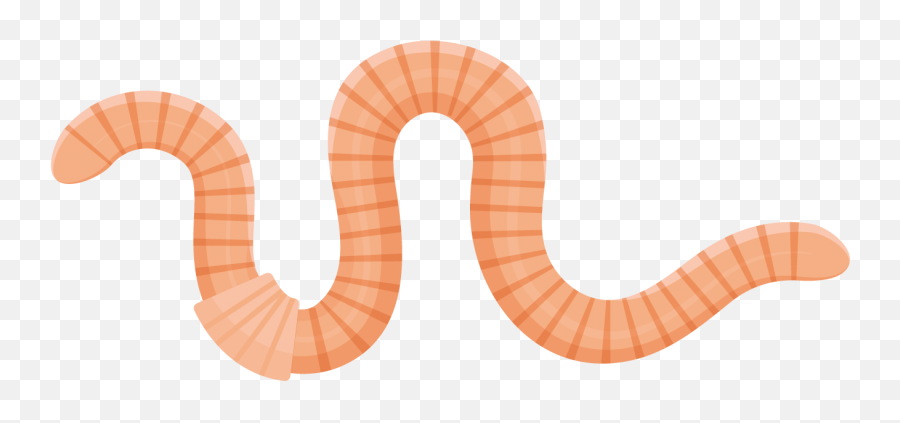Worm Press Taking The Worms Right Out Of Your Mouth Worm Emoji,Worm Png