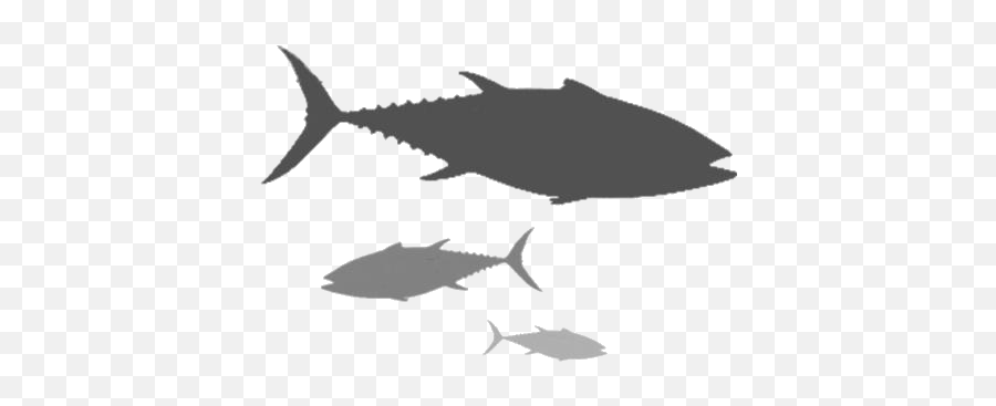 Black Tuna Fishes Png Transparent Emoji,Fishes Png